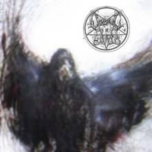 Transfiguration Black